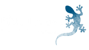 bluelizaid - Home
